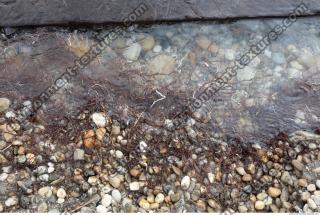 Photo of Nature Textures